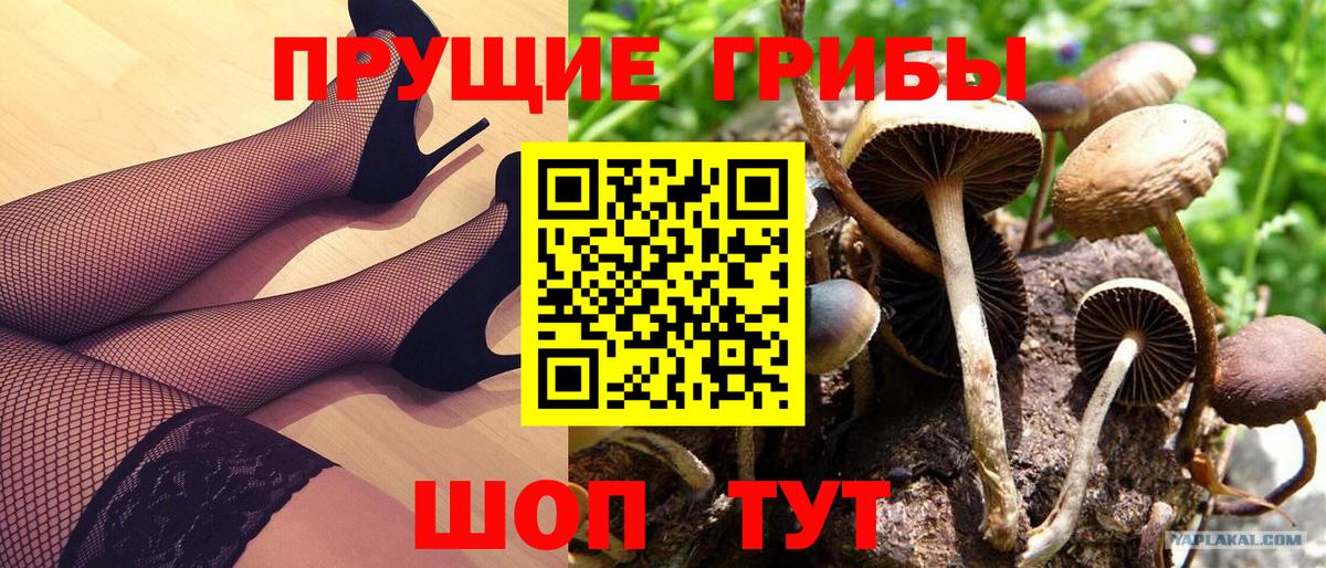 Назарово  Галлюциногенные грибы Psilocybine cubensis  Псилоцибиновые грибы Psilocybe  Вход с VPN 